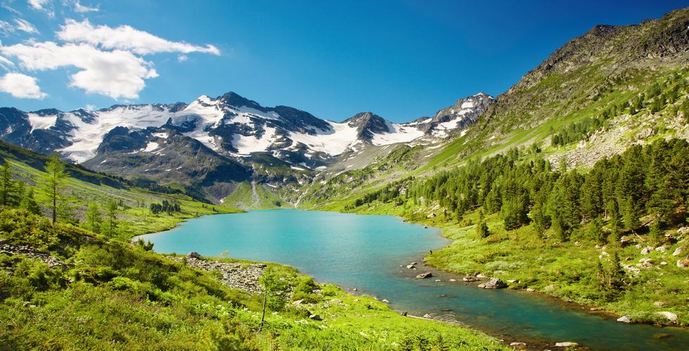 https://d3r8gwkgo0io6y.cloudfront.net/upload/beautiful swiss.jpg